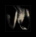 EROTICA OBSCUR&hellip;