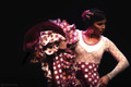 The Flamenco D&hellip;