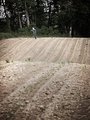Frajer iz kuku&hellip;