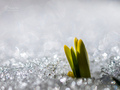 Prve zrake sun&hellip;