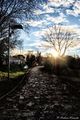a walk in the &hellip;