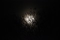 Moonlight horr&hellip;