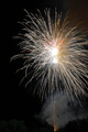 Festival Zlatn&hellip;