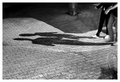 Photodays 2008&hellip;