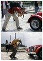 Photodays 2008&hellip;