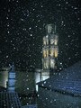 Snijeg 25.11.2&hellip;