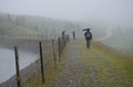 It's rain&hellip;