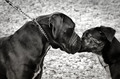 Love is in the&hellip;