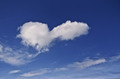Love is in the&hellip;