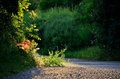 On the road ag&hellip;