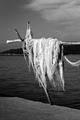 Sirenina halji&hellip;