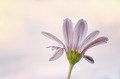 Spring is in t&hellip;