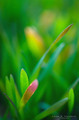 Spring is in t&hellip;