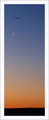 Kitschie Kitsc&hellip;