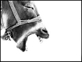 This DonKey is&hellip;
