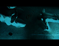 ... 2-3 D i ho&hellip;