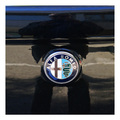 ... em alfa, d&hellip;