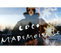 ... coco locco&hellip;
