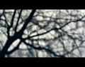 ... donja Band&hellip;