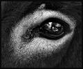 Tired Eye of t&hellip;