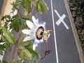 Street art is &hellip;
