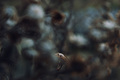 Surround me wi&hellip;