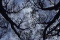 Push the sky a&hellip;