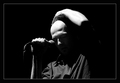 Laufer (Damir &hellip;