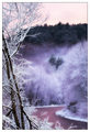 Fluffy Pink Mo&hellip;