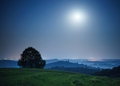 Moonrise Kingd&hellip;