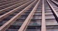 Zagrepčanka