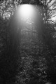 Death created &hellip;