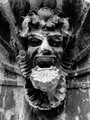 Hadovo buđenje