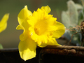 NARCIS(Rekla m&hellip;