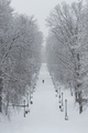 winter walk