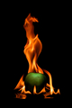 light my fire &hellip;