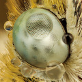 Eastern Bath W&hellip;