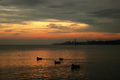 Bodensee Konst&hellip;