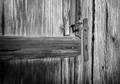 doors of perce&hellip;