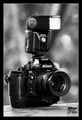 Nikon F4s + SB&hellip;