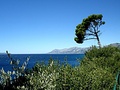 bura podno Bio&hellip;