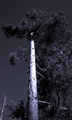 reaching for t&hellip;