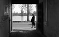 Haustorske per&hellip;