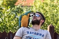 Ljubav nema pr&hellip;