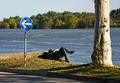 za biro rada s&hellip;