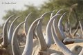 south sudan7