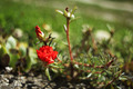 Pentacon f2.8 &hellip;
