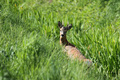 sniped_for_fot&hellip;