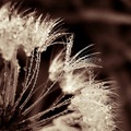 dancing on the&hellip;