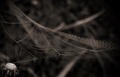 network contro&hellip;